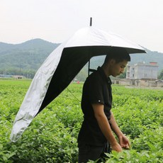 농약하이바