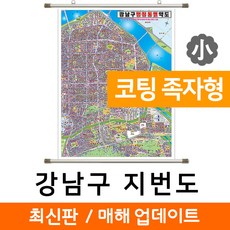 강남지도