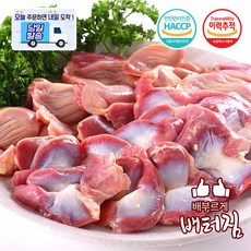 (당일출돼지) 업소용 닭근위 닭똥집, 1kg, 20개