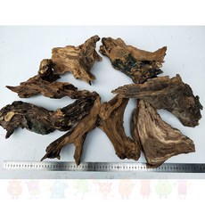 af81bd5b1d91ab3b5024e33509e40156d8b147164d38ea78bf935264a557.jpg