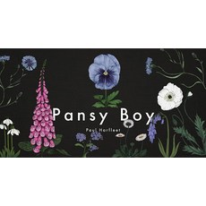Pansy Boy Hardcover, Barbican Press, English, 9781909954243