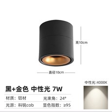 롱핀조명