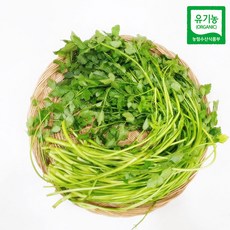 유기농 밭미나리 500g 굵은줄기 식감좋고 향이진한 친환경 미나리, 1개