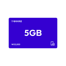 (SK텔레콤) T 데이터쿠폰 5GB, 1개