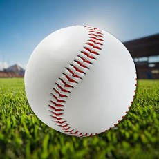 캐치볼소프트볼