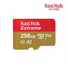 샌디스크 익스트림 마이크로SD 카드 SDSQXA1-256G, 256GB