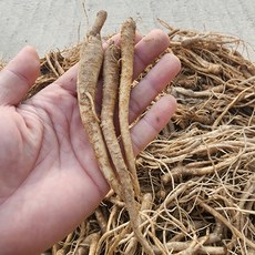 도라지 약도라지 소 파지 길경 국산 10kg, 흙약도라지(소/파지) 10kg, 1개