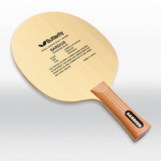 사디우스라켓