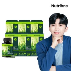 [뉴트리원] 임영웅 안심 새싹보리 정제타입 6박스(6개월분)/100%국내산, 상세 설명 참조, 상세 설명 참조