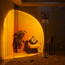 아르떼미데톨로메오