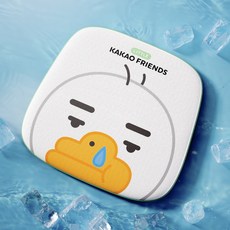 카카오프렌즈쿨매트