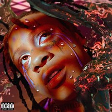 Trippie Redd A Love Letter To You 4 Album Wall Decor Poster 16x16, 본상품
