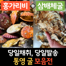 명창수산하프셀100미