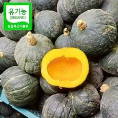 홍천 농약이 1도 없는 100% 유기농 단호박 껍질째 드셔도 되는 유기농 밤호박 첫 이유식, 1개, 6kg