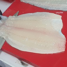 광어회 필렛 활어회 대광어, 1개, 500g