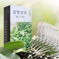 다희연 비바리차 녹차 티백 100포 청정 제주, 100개입, 1.1g, 1개