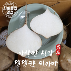 햇 히카마 얌빈 멕시코감자 특상품, 1박스, 5kg