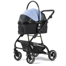 피카노리주니어