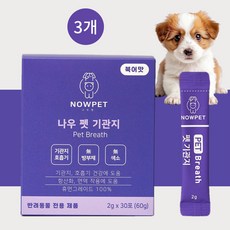 강아지 기침 감기 기관지 영양제 재채기 호흡기 협착증 증상 약 4주, 3팩, 호흡기/기관지 - 강아지기관지협착증