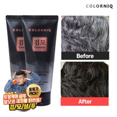 [KT알파쇼핑]홍록기의 새치커버 갈변샴푸 검모 200ml 2개, 단일상품_색상_상세페이지참조 - 검도호구염색