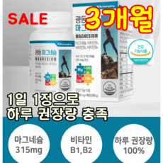 마그미