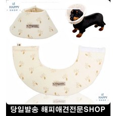 약핥는강아지 베고자는깔대기 강아지꼬깔모자 순면 개용품 강아지캡 애완용품도매