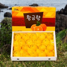 [인하네] 제주 황금향 3kg 5kg 가정용 과일선물세트, 1박스, 황금향 3kg가정용 (작은향)