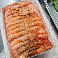 랍스터 홍새우, *2kg 30-40미, 1개