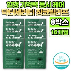 은행 잎 추출물 정 징코 GINKGO BILOBA Ginko 은행엽 은행나무 플라보놀배당체 혈행 개선 도움 영양제 아연 비타민 E B6 비오틴 엽산, 8개, 60정