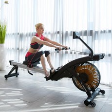 은성헬스빌 클럽용 에어 로윙머신