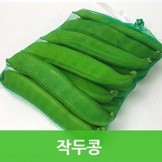 생작두콩