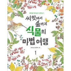 씨앗에서 숲까지 식물의 마법 여행 1