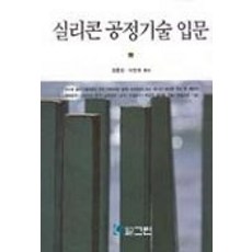실리콘공정기술입문