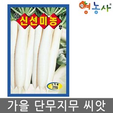 영농사 신선 미농무씨앗 20g 단무지용 무우 씨앗 가을김장무, 신선미농무 20g, 1개