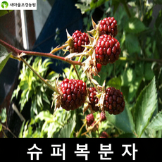aa03afe6e1c8d7896c1ceefcd83a143a3ba1d5192bef3bc0153deceab5ec.png