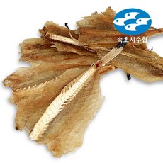 속초아귀포