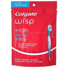 콜게이트 Colgate 맥스 프레시 일회용 미니 칫솔 페퍼민트 24개 4팩, 24 Count (Pack of 1), 1) 24 Count (Pack of 1)