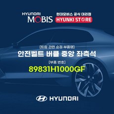 현대모비스 안전벨트 버클 중앙 좌석 (89831H1000GF), 1개