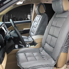 디트로네리무진