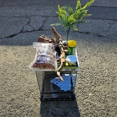  소라게사육셋트 30X30X45cm 테라리움장 