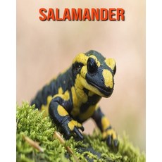Salamander: Fun Facts & Cool Pictures Paperback, Independently Published, English, 9798563381001