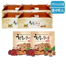 가든포레스트 한줌의보너츠프리미엄20g x 100봉 견과선물세트, 500g, 4박스