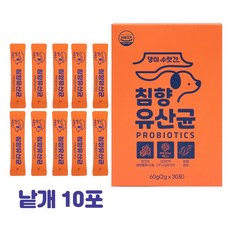 강아지 고양이 유산균 프로바이오틱스 설사 구토 변비 소화제 댕이수랏간 침향 유산균 (낱개 2gx10포), 30포, 소화기능 개선