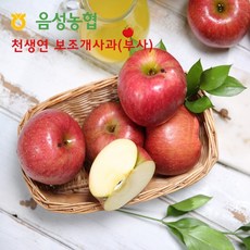 eTV 보조개사과_2023 농협 음성 천생연 사과 3kg_부사/190~250g 총 12~16과, 1