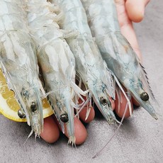 대하1kg