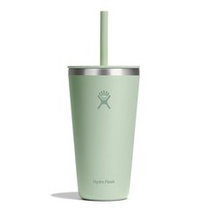 하이드로 플라스크 올 어라운드 텀블러 20oz 서핑