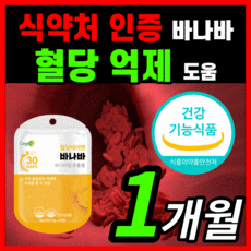 노플랜프로젝트