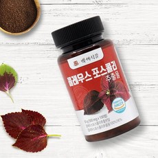 kfc스콜쳐