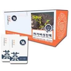 중저온추출 16시간 러시아 차가버섯 즙 진액, 100ml, 30개