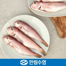 제주 한림수협 제주 통 옥돔 700g(350gx2팩/팩당3미 1set), 2개